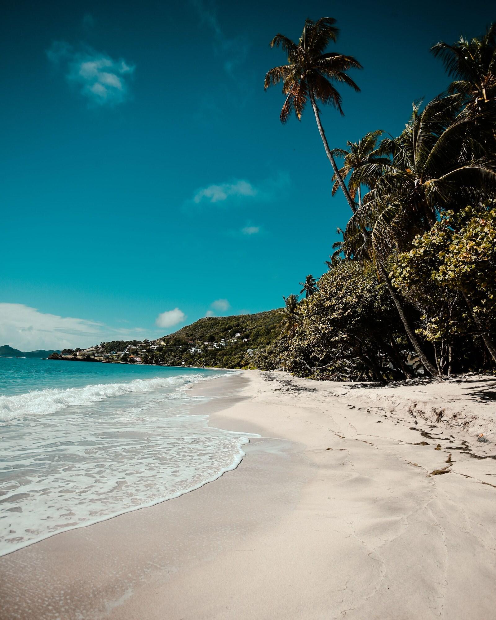Bequia Beach Port Elizabeth ภายนอก รูปภาพ